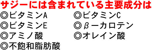 ビタミンの宝庫! サジーに含まれている主要成分